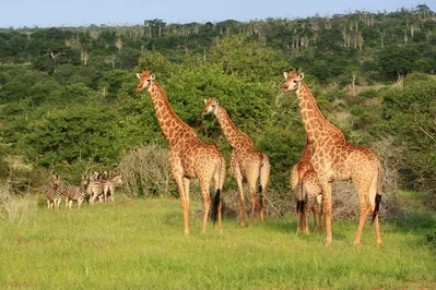 Kissama National Park in Angola