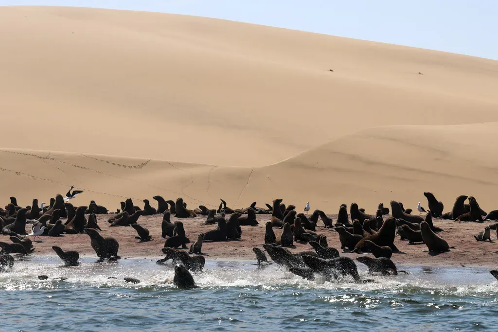 Namib Desert in Angola