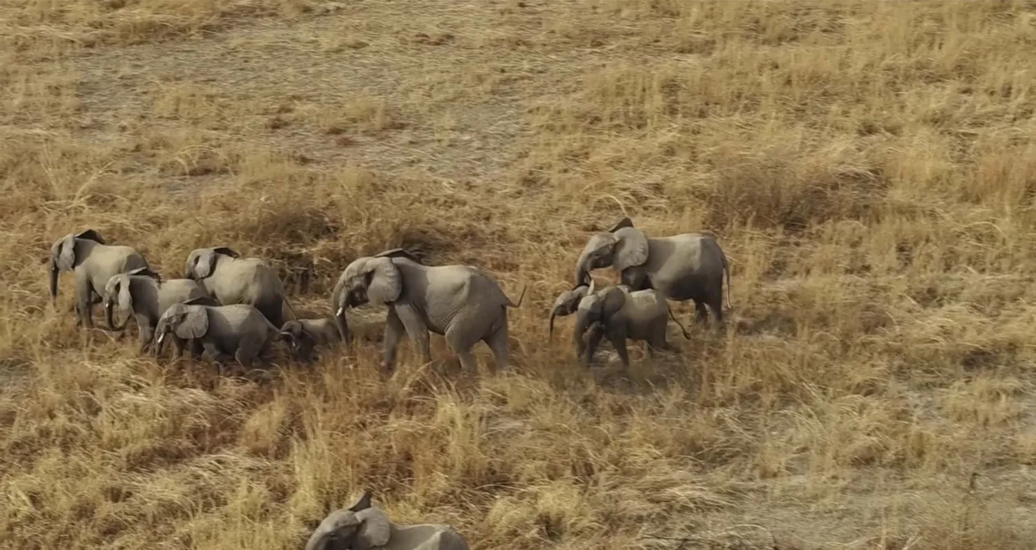 Pendjari National Park Safari Benin