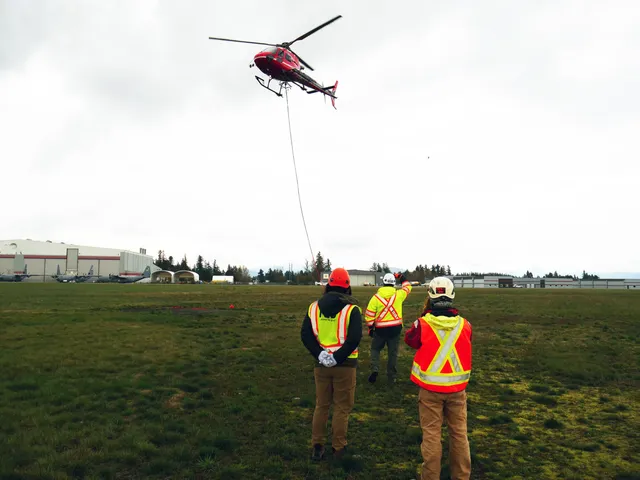 Environmental Monitoring Services