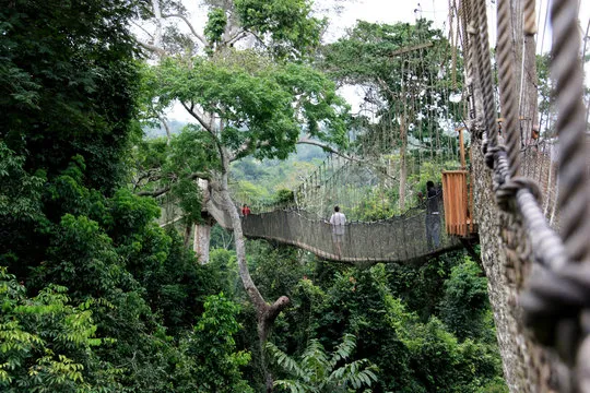 Kakum National Park Canopy Walk Ghana