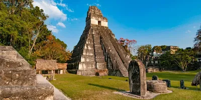 Tikal Maya Pyramids Guatemala