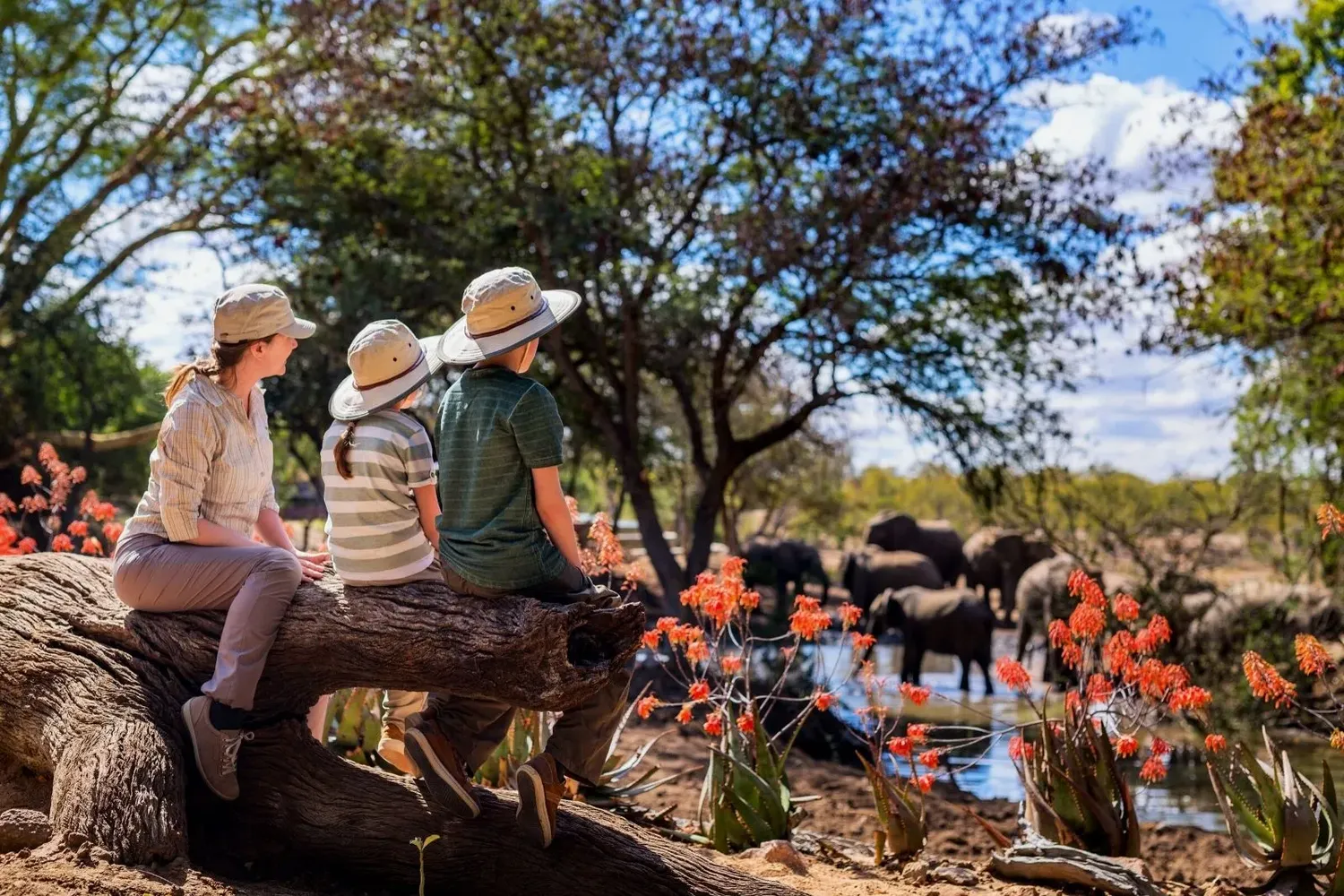 Family enjoying safari in Kenya