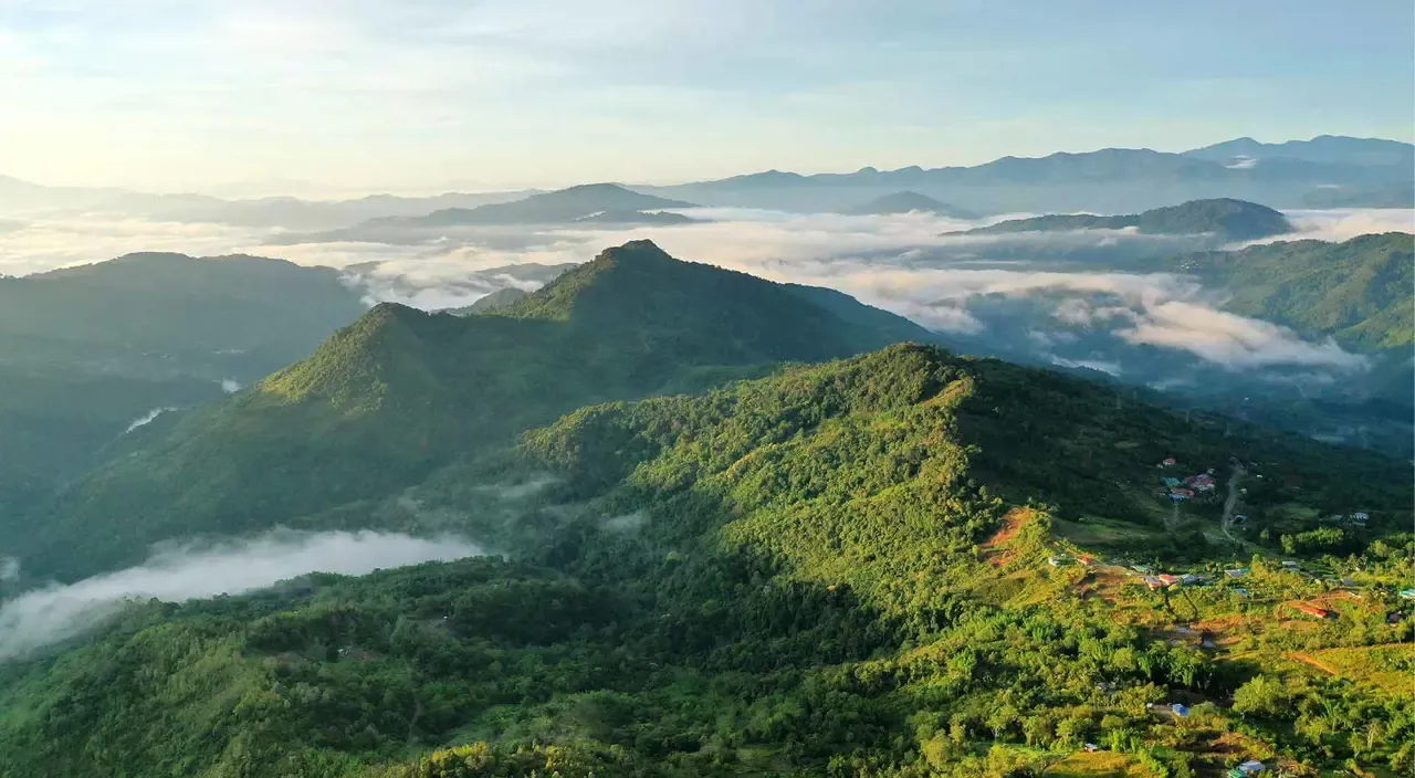 Borneo Rainforest Malaysia