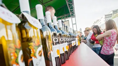 Milestii Mici winery tunnels Moldova