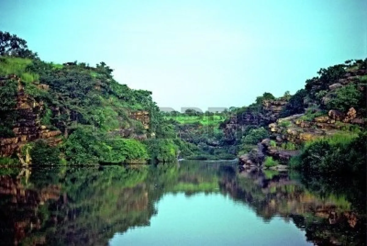 W National Park Giraffes in Niger