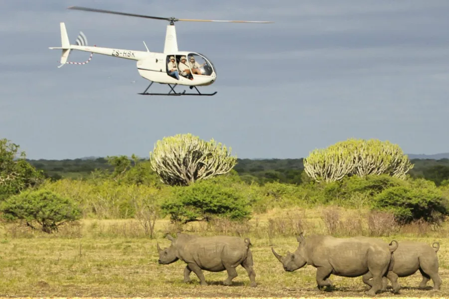 Safari and flight combo