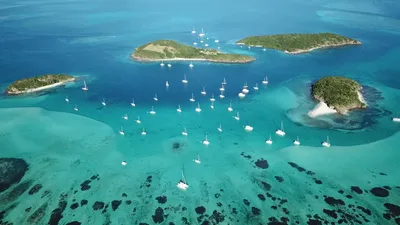 Tobago Cays, Saint Vincent and the Grenadines