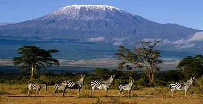 Tanzania landscape with Serengeti and Kilimanjaro