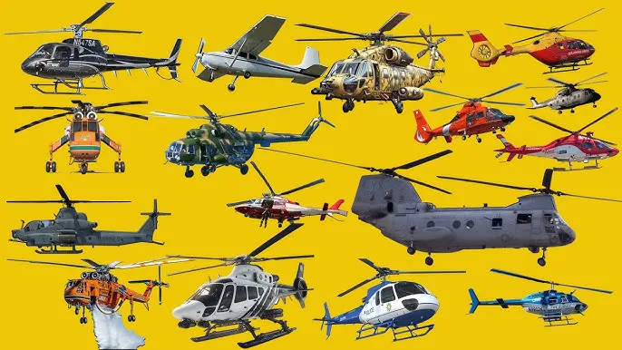 Various helicopter types lined up on tarmac showing size differences