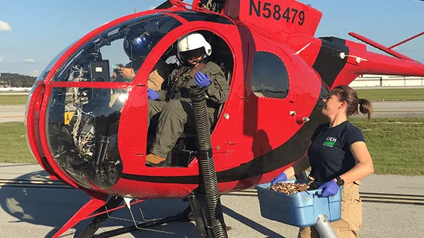 Wildlife Tracking Services