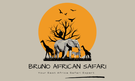 Bruno African Safari