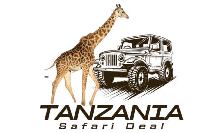 Tanzania Safari Deal